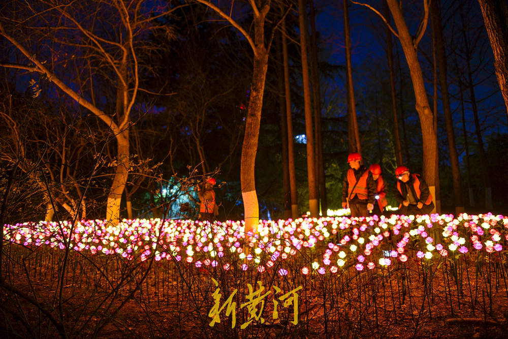 泉畔新春灯饰亮相 玫瑰花海与芦苇光影共绘泉城夜色