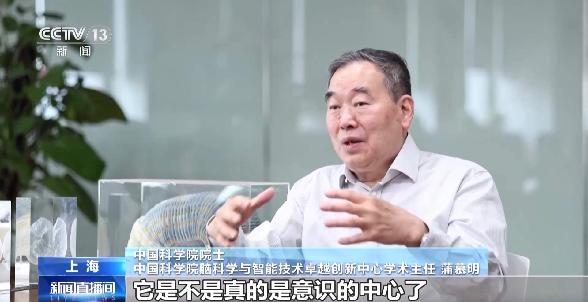 我国脑图谱研究系列成果集中发布 珍贵数据供国内外学者研究