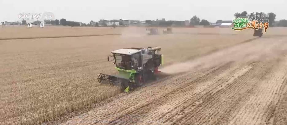 科技“组合拳”追“丰”正当时 多措并举打赢“三夏”关键仗