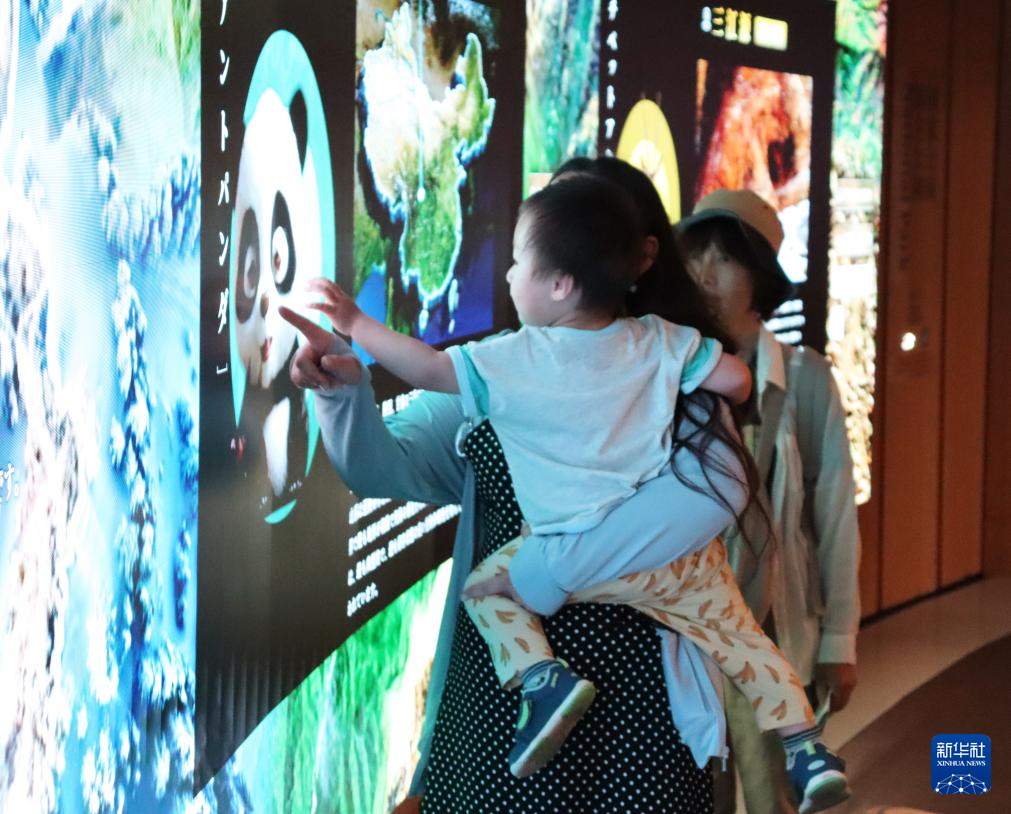 记者手记｜在大阪世博会感受多彩中国