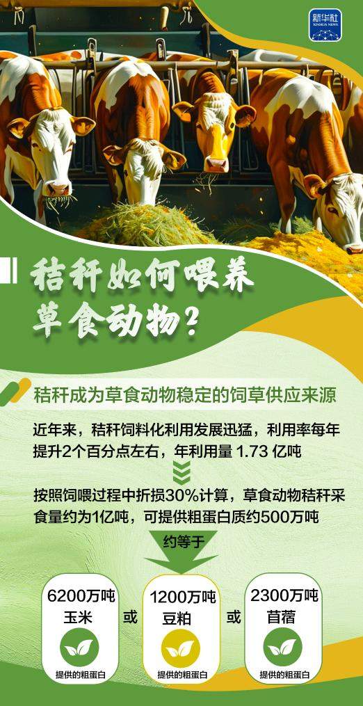 变饲料、转能源、种菌菇……秸秆原来这么“能”！