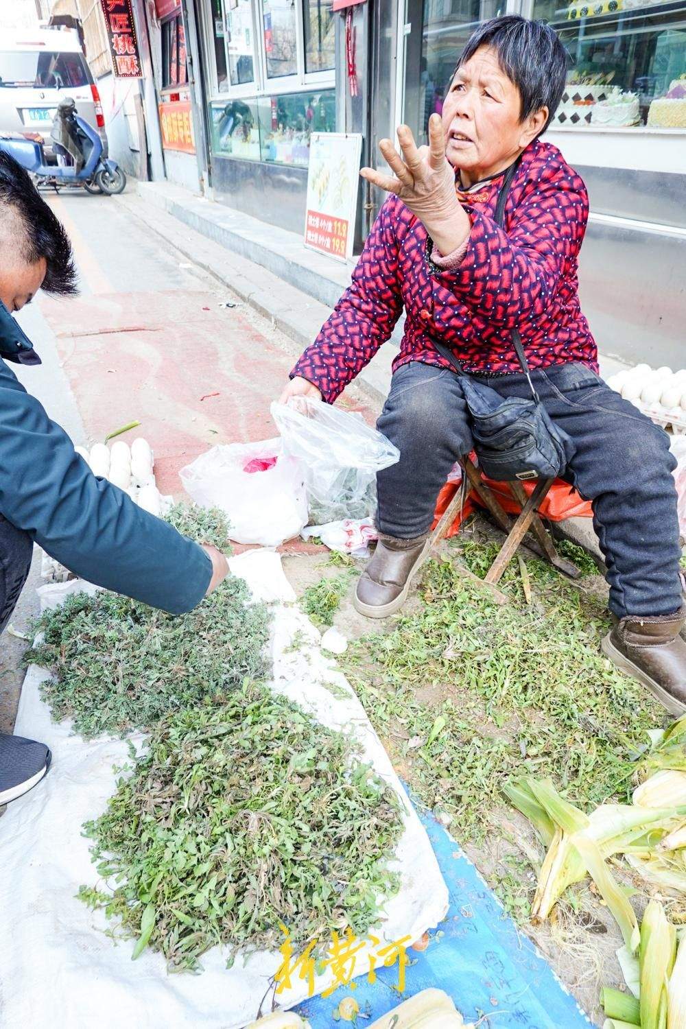 时令野菜抢“鲜”上市，市民争尝春日第一口鲜
