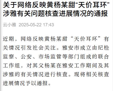 官方通报“天价耳环”最新进展：黄杨某甜父亲被立案调查