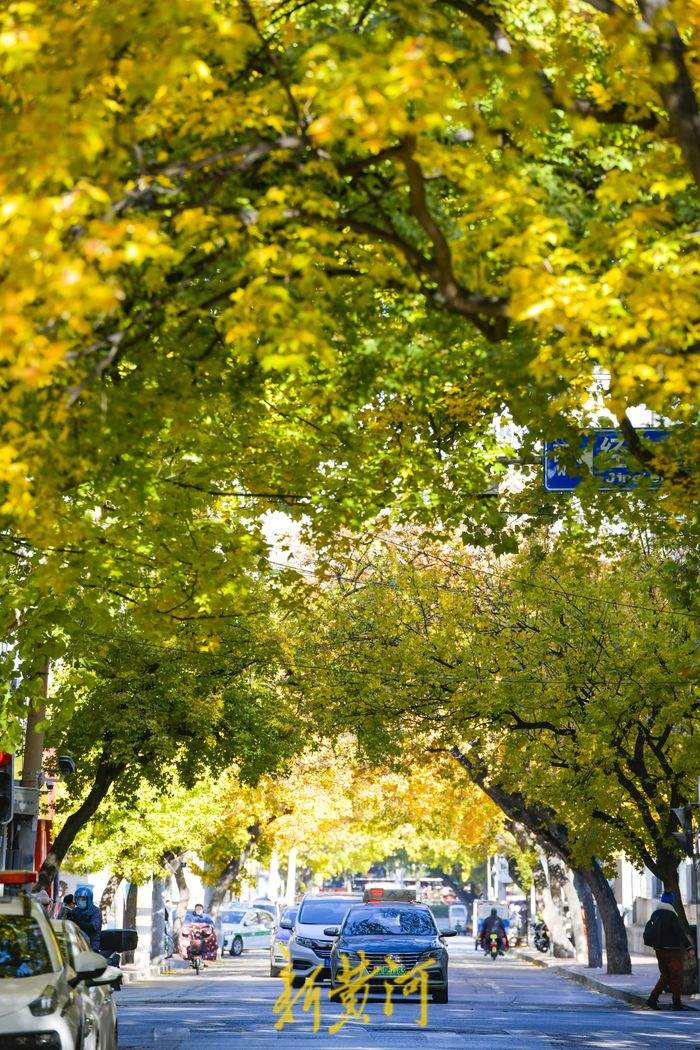 “泉”在济南过大年｜来泉城过年的理由很多，打动你的是哪个？