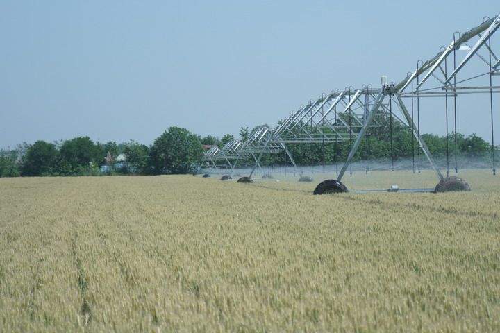 “三夏”大忙已至，这份夏收指南请查收！