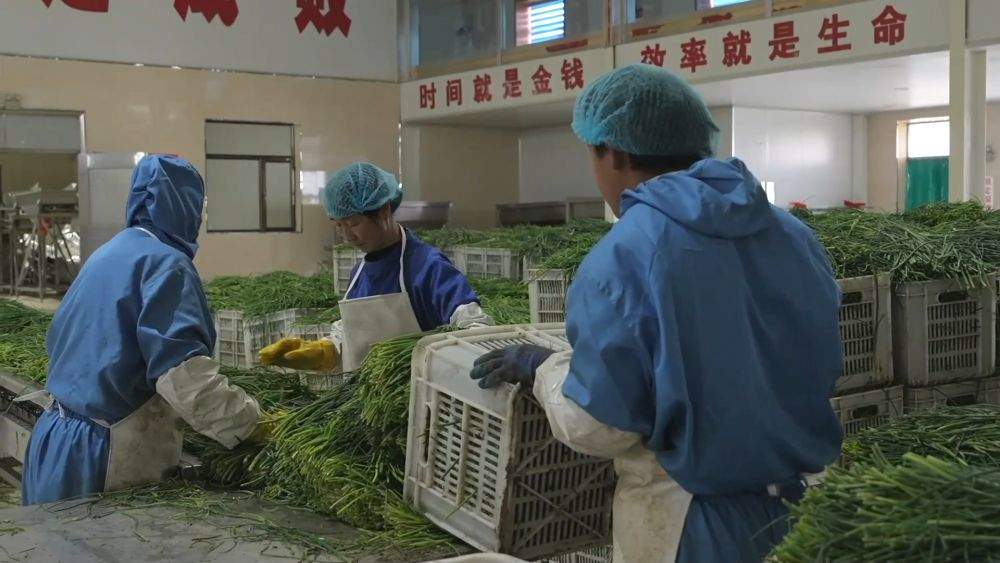 新华视点｜一地一特色 产业促振兴