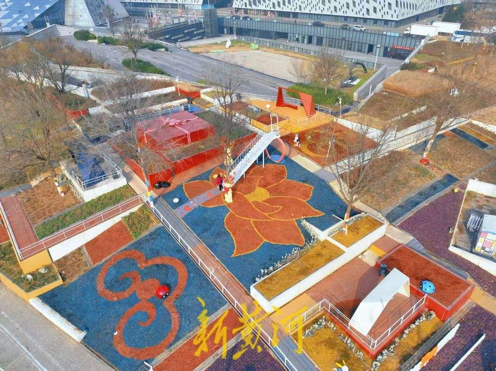 济南“七色花田”隆冬时节缤纷绽放