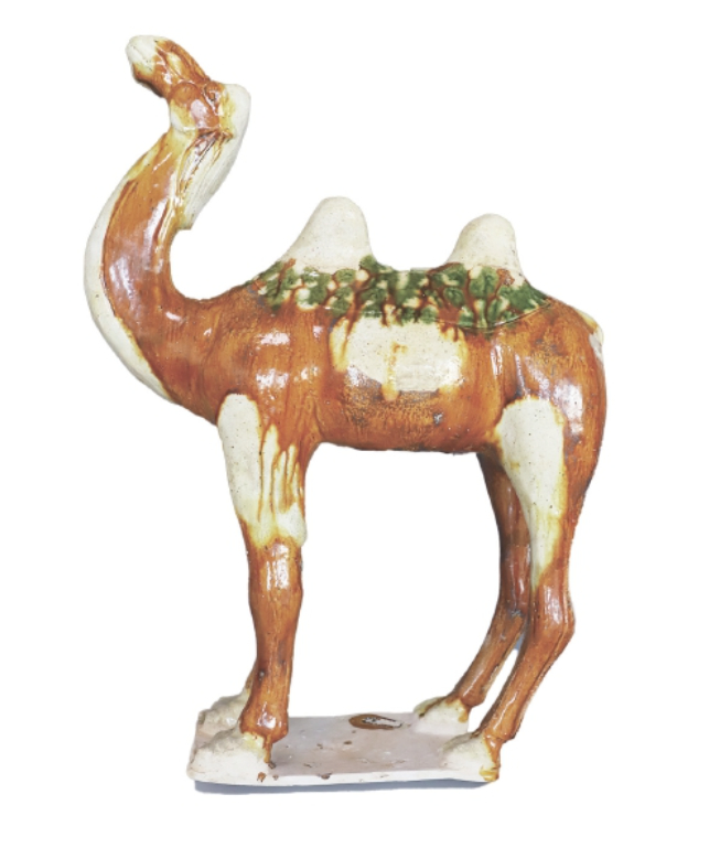 探源泉城 守护文脉 济南考古2025交出亮丽答卷