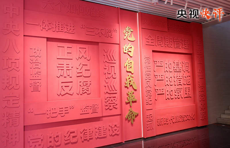 【央视快评】以更高标准更实举措推进全面从严治党