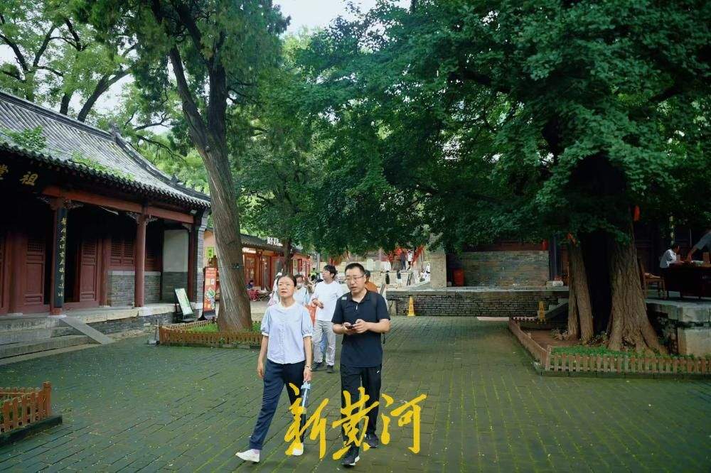 清凉感拉满！灵岩寺千年银杏浓荫蔽日引游客纳凉
