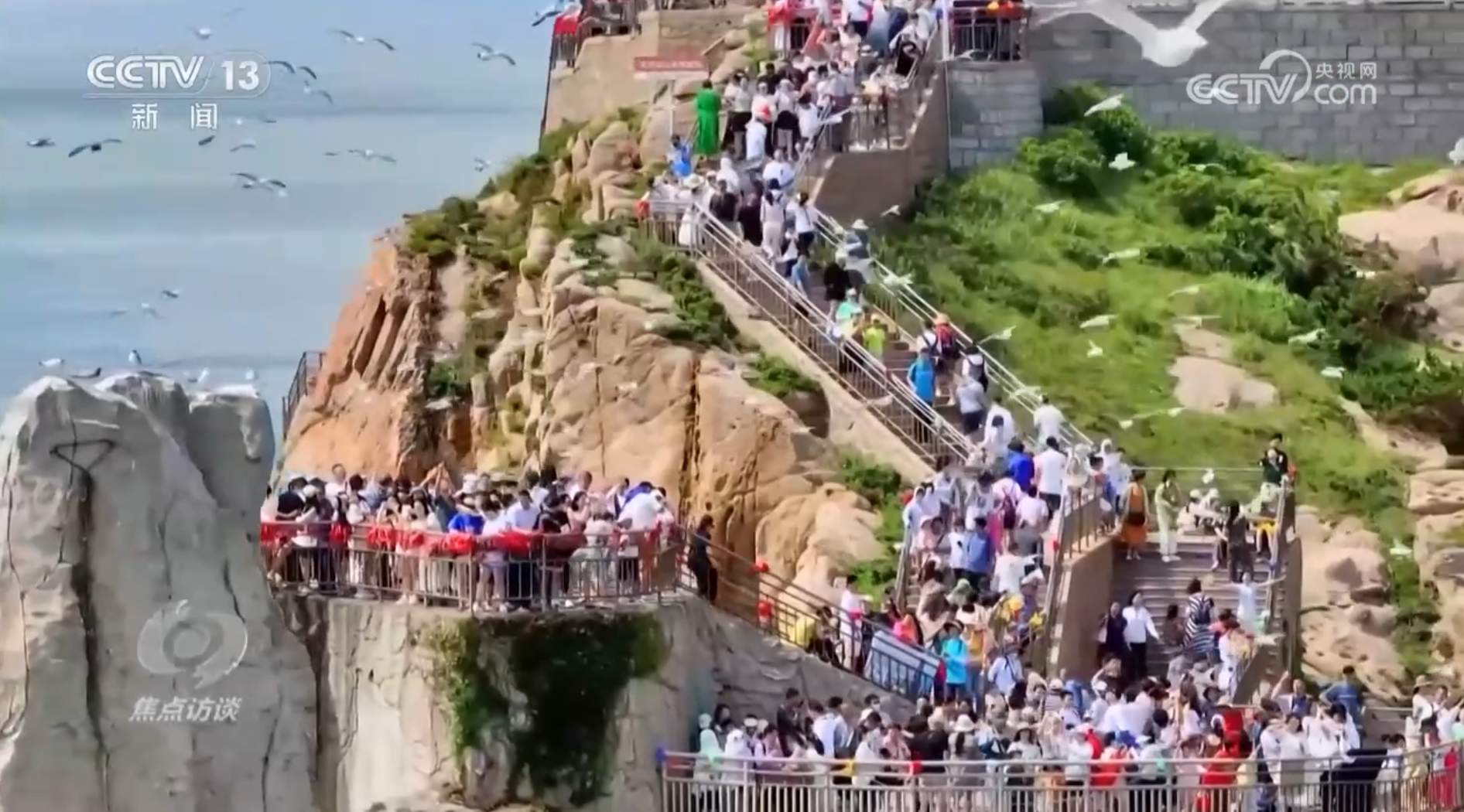 焦点访谈｜决胜“十四五” 布局“十五五”