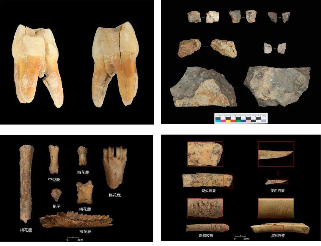 2025年度山东省五大考古新发现初评结果揭晓