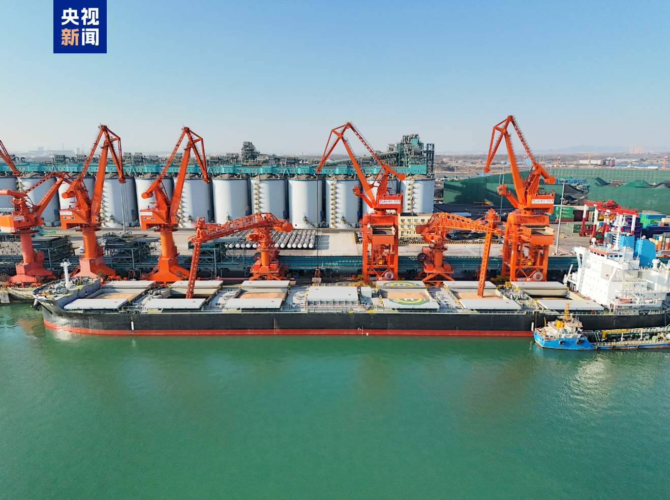21小时完成！青岛港刷新粮食码头行业接卸纪录