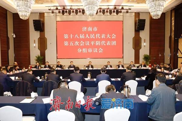 刘强参加平阴代表团审议时强调：以“项目赋能年”为总牵引 抓实抓好各项工作