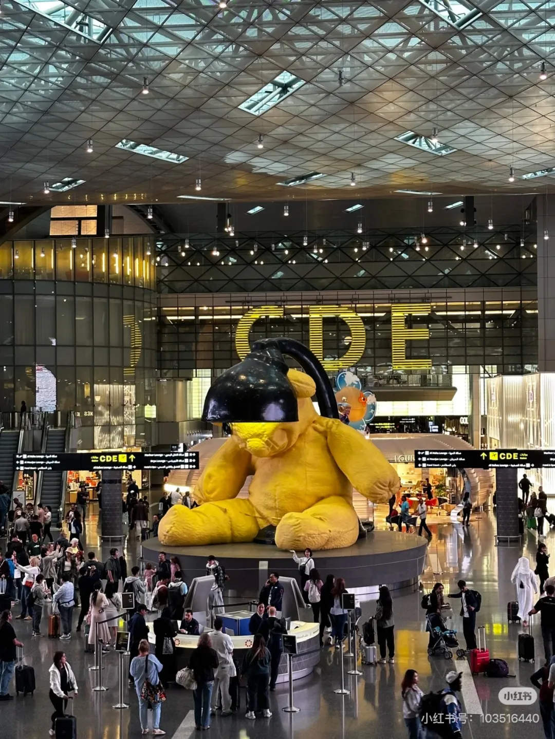 济南机场,“上新”了!