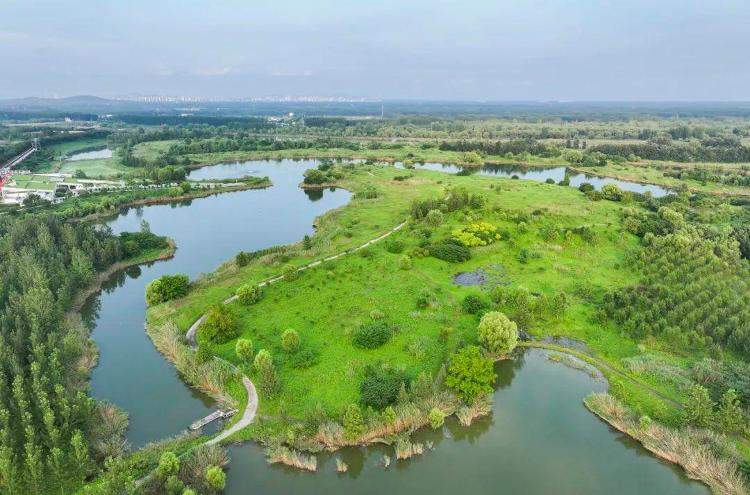 跨界治水“都管又都不管”，看微山湖如何破题