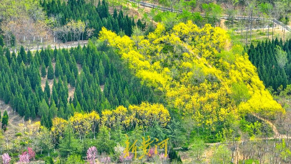 济南这处渣土山披绿变公园，成登山休闲好去处
