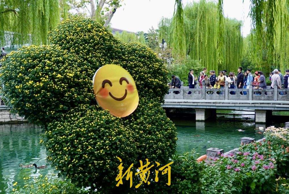 一园主展、三园联动！济南市第47届趵突泉金秋菊展探营