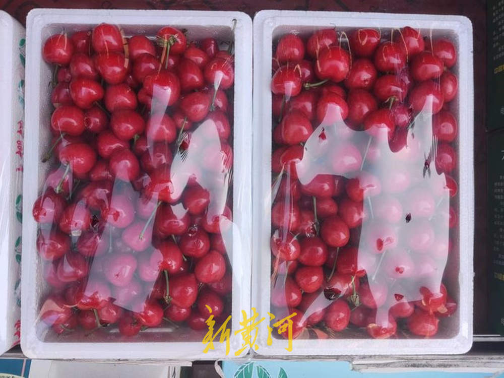国产樱桃热销，每斤售价最高近百元，预计5月降价