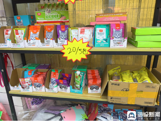 “免费”变“分期”?宠物店暗藏“猫贷”陷阱