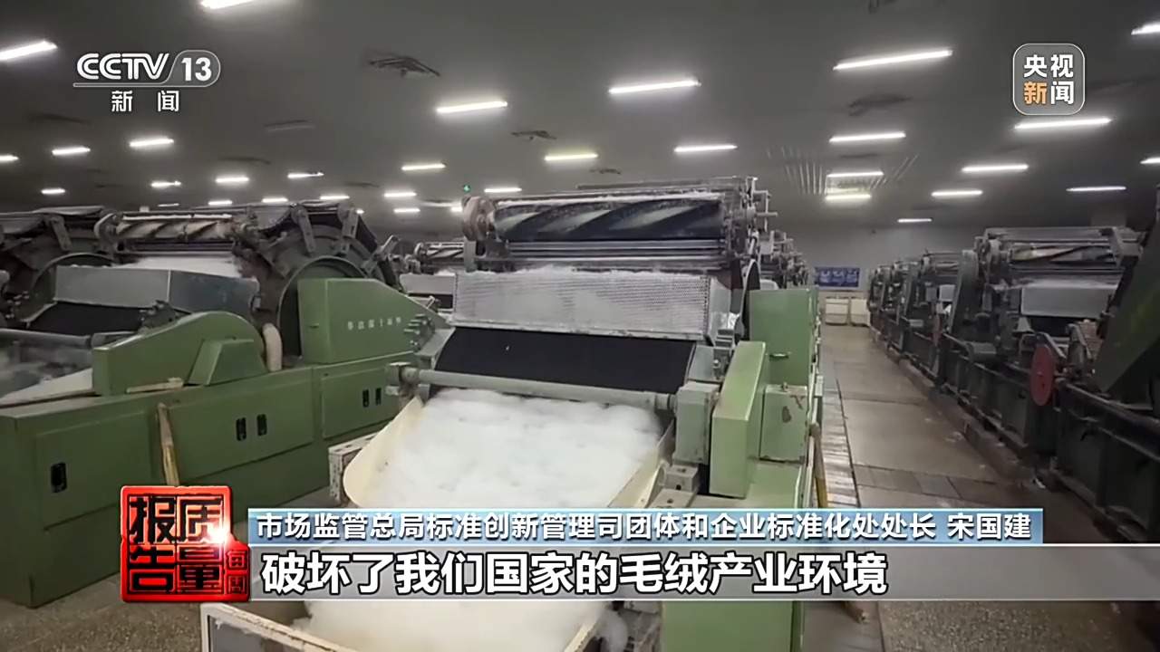 “绵羊绒”竟一根羊绒都没有 个别团体自创概念误导消费者