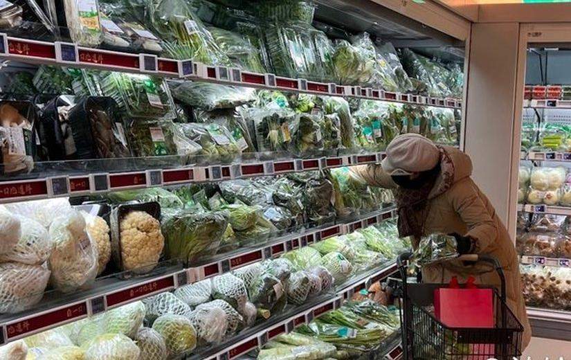 时令春菜抢“鲜”上市，济南市民餐桌添春意