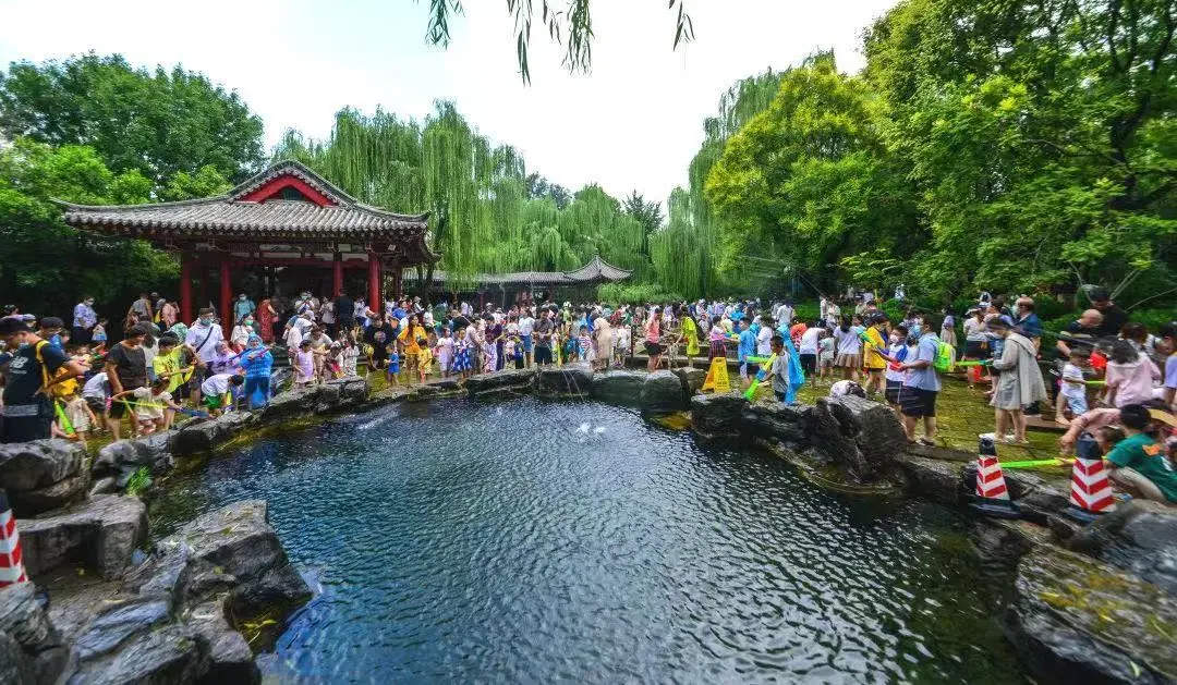 泉城的夏日“食”光