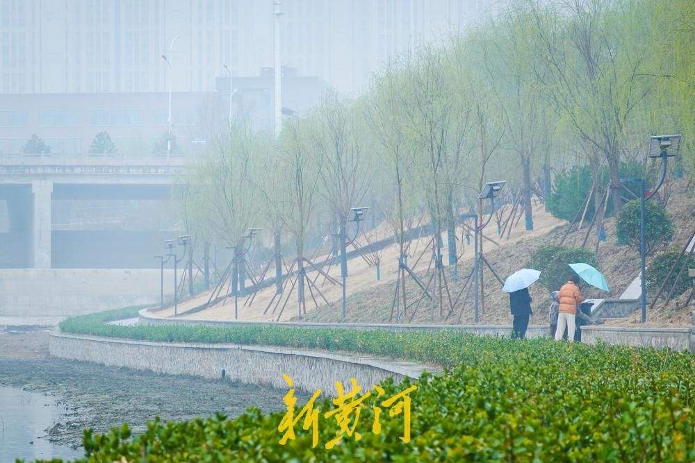 水清、河畅、岸绿、景美,改造后的济南大辛河换新颜