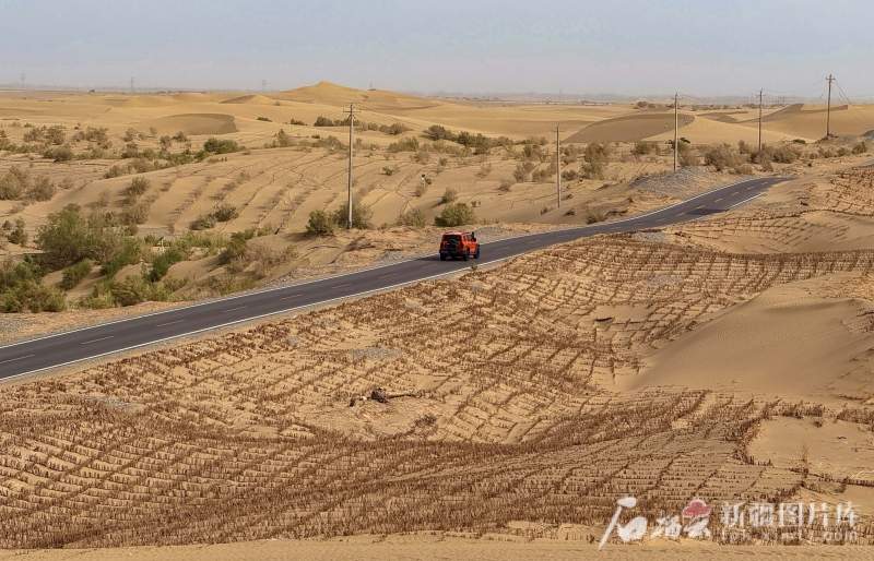 环着沙漠看新疆｜看平凡治沙人种下的“春天”