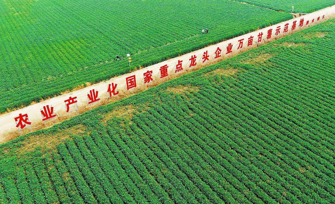 泗水食品产业打破壁垒，聚力融合，一条链上抱团发展