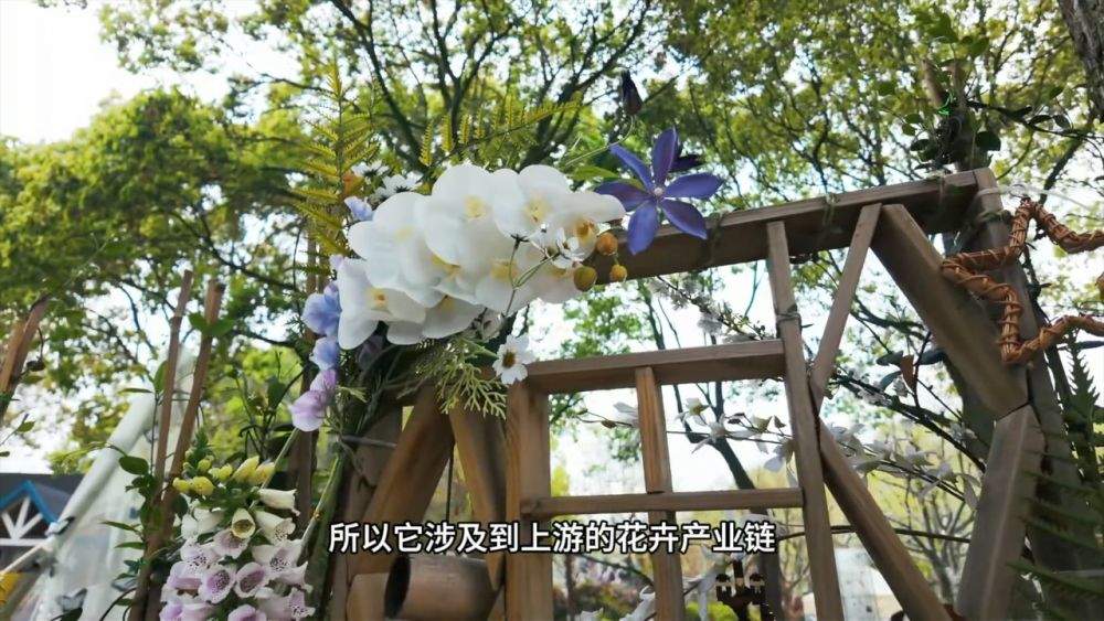 从良渚创客空间到乌江古镇 看见中国经济的春意