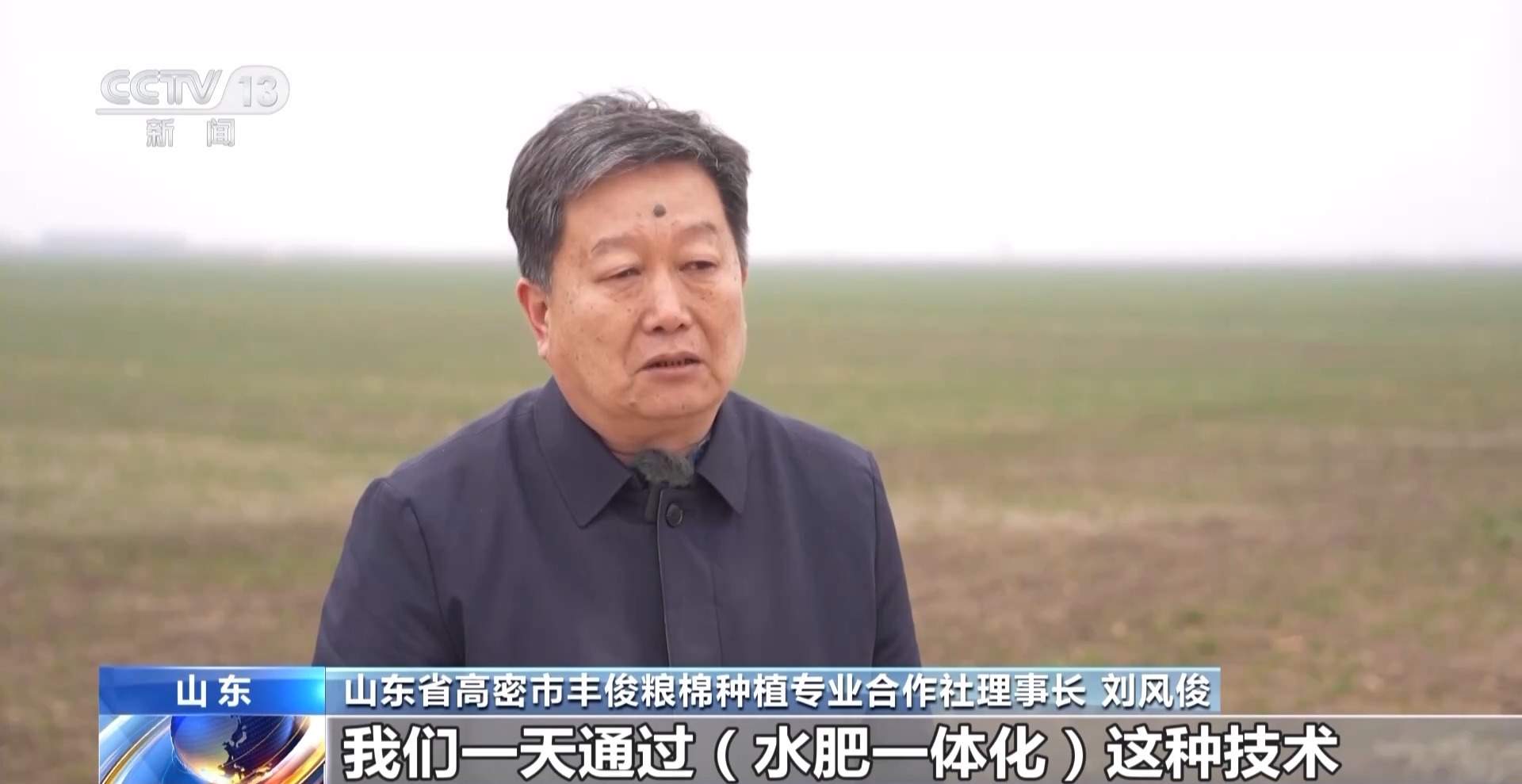 晚播麦吃上“营养餐” 山东精细化田管助小麦“强筋健骨”