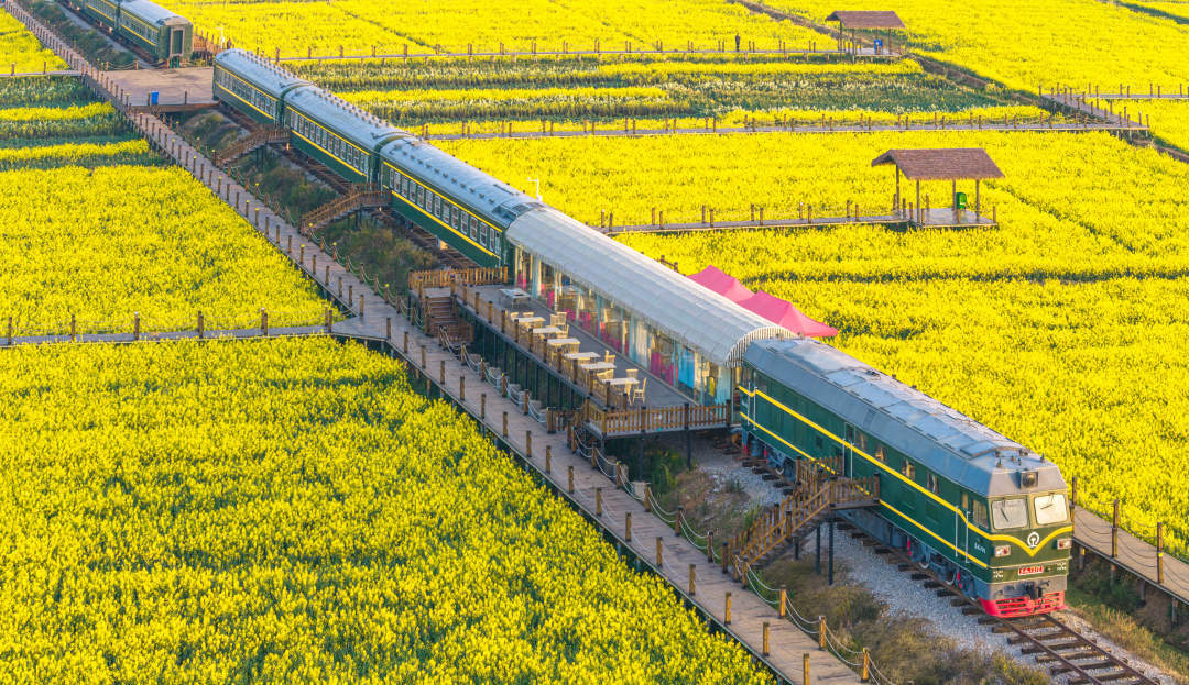油菜花+绿皮火车+蓝天白云，春天限量版配色来了！