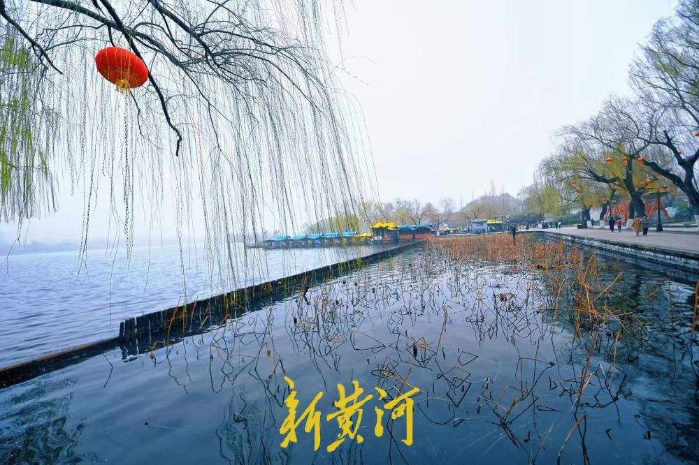 湖畔嫩柳吐新芽 绘就泉城初春画卷