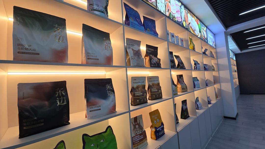 开局“十五五” 奋斗正当时