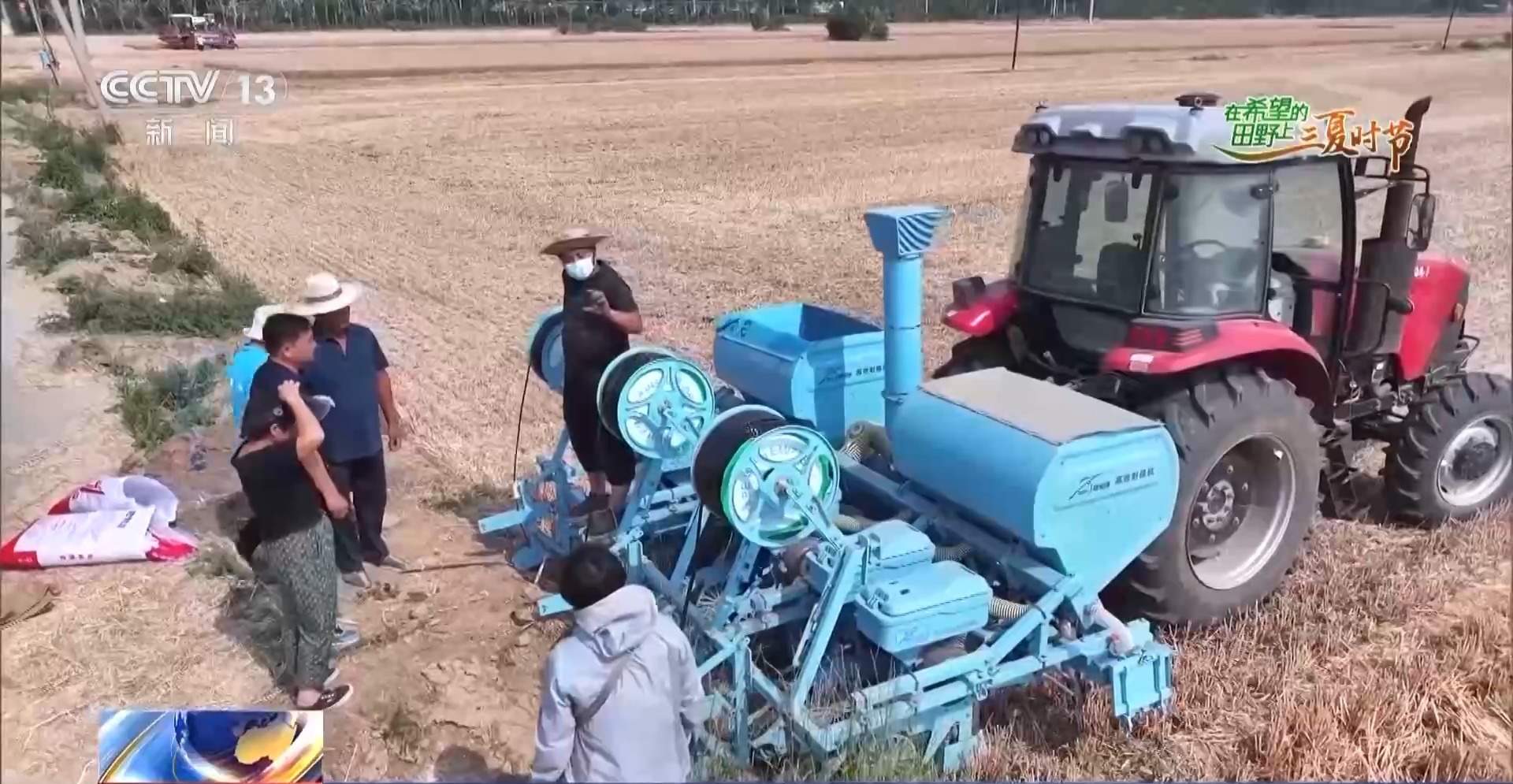 新品种新技术齐上阵 多地一片好“丰”景