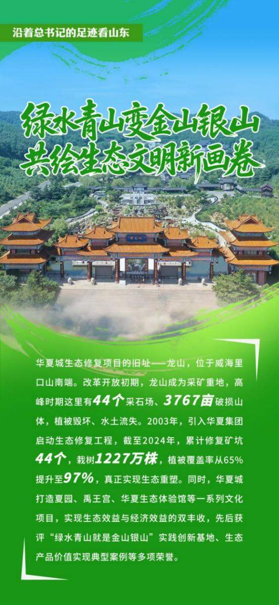 沿着总书记的足迹看山东｜绿水青山变金山银山，共绘生态文明新画卷