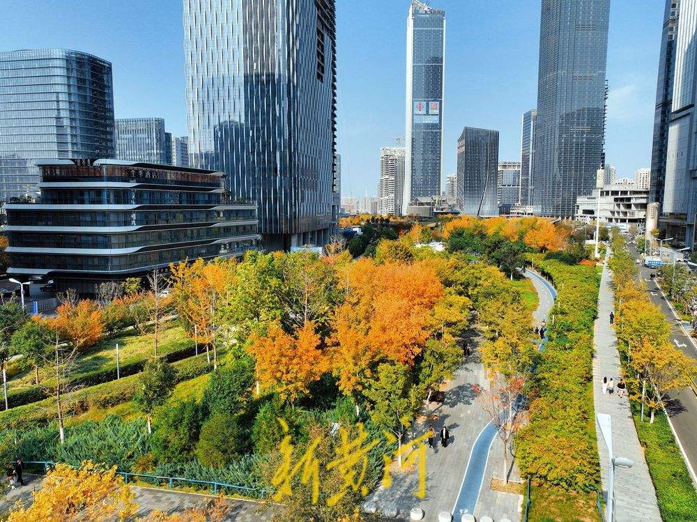 层林尽染 济南CBD“五指山”下秋意浓