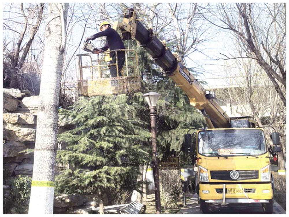 漫天飞絮退退退！山东多地放大招，守护春日好空气
