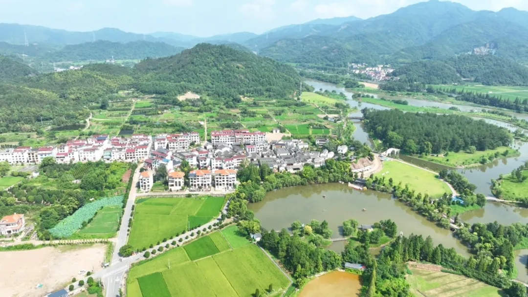 第一视点丨再访后陈：不断生长的善治样本