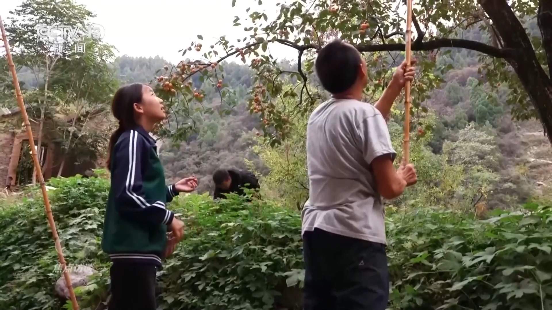中秋习俗代代传承 一轮明月照见千年团圆