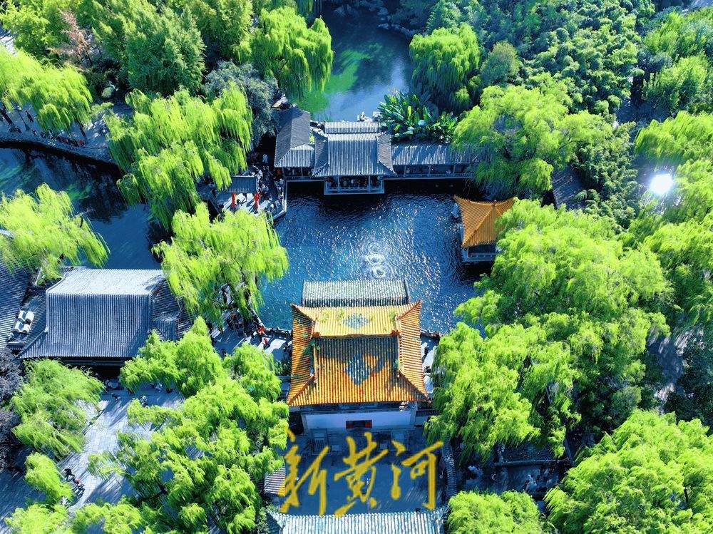 济南趵突泉水位半个月涨幅超一米 游客争睹胜景