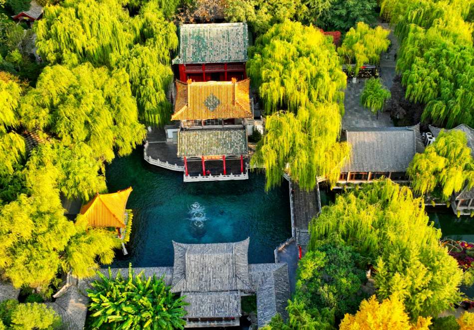 时政眼｜山东“新春第一会”，为什么聚焦这个主题？