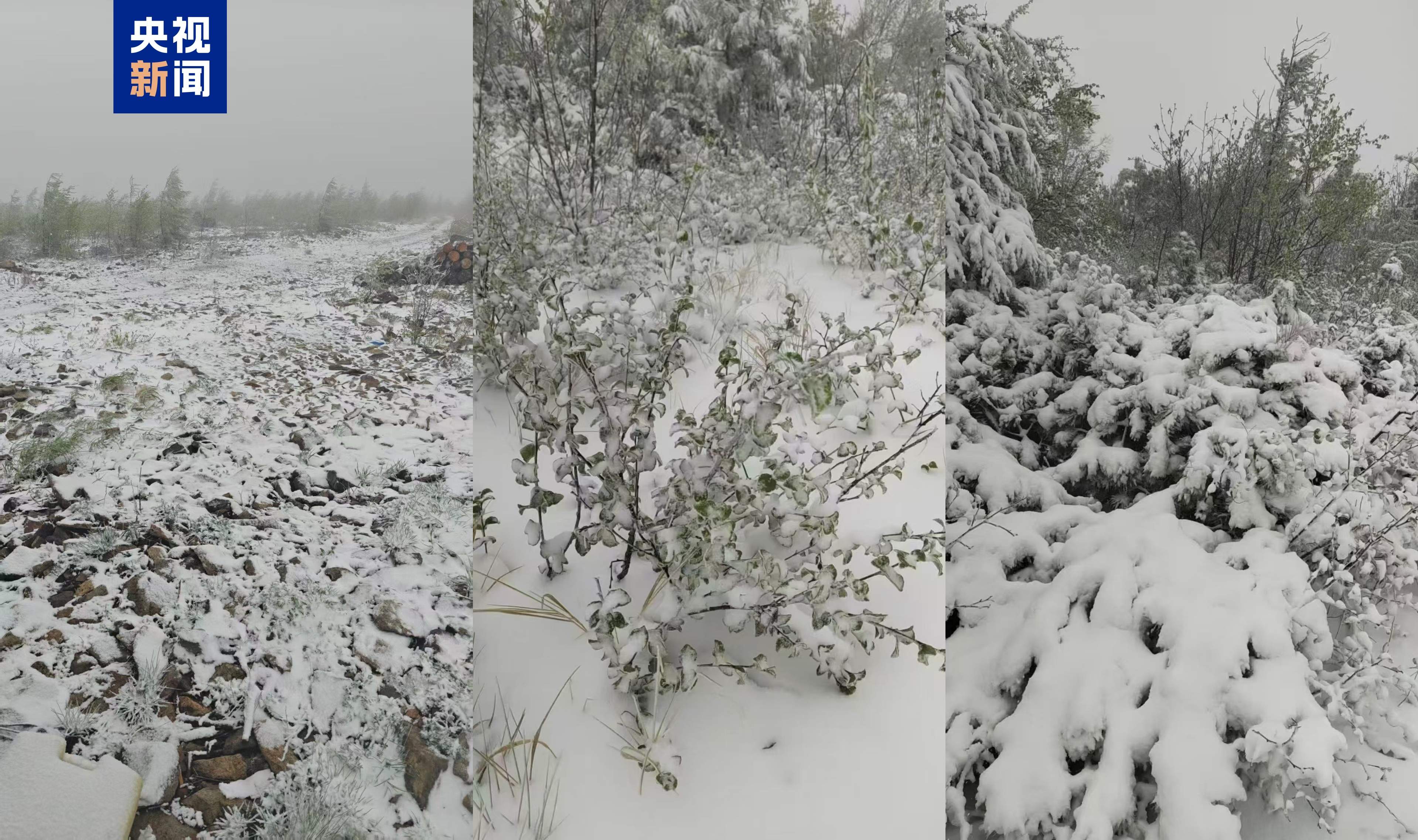 一觉醒来“穿越”入冬 黑龙江大兴安岭现“六月飘雪”