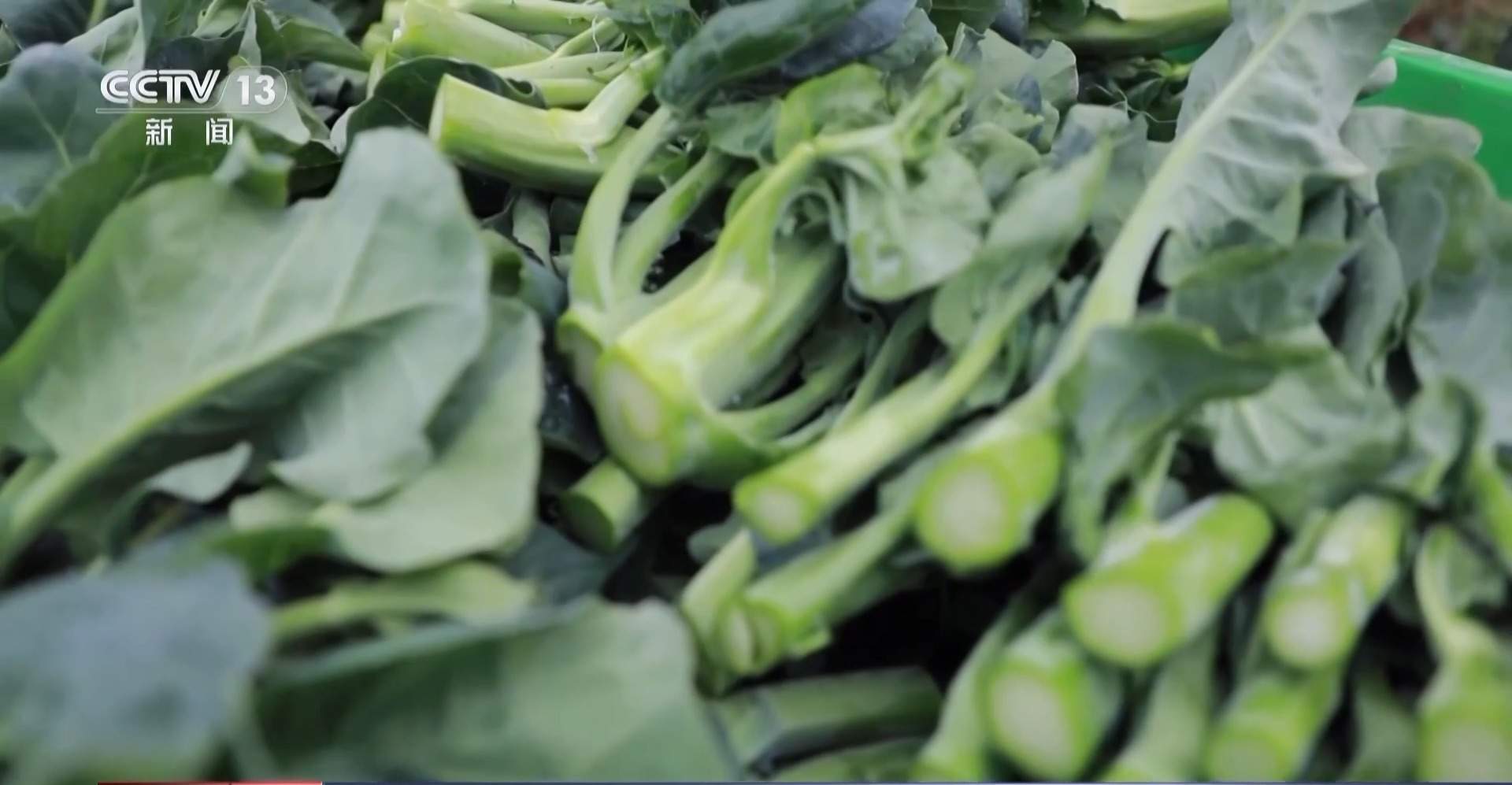 今日小寒 我国大部进入全年最冷时段