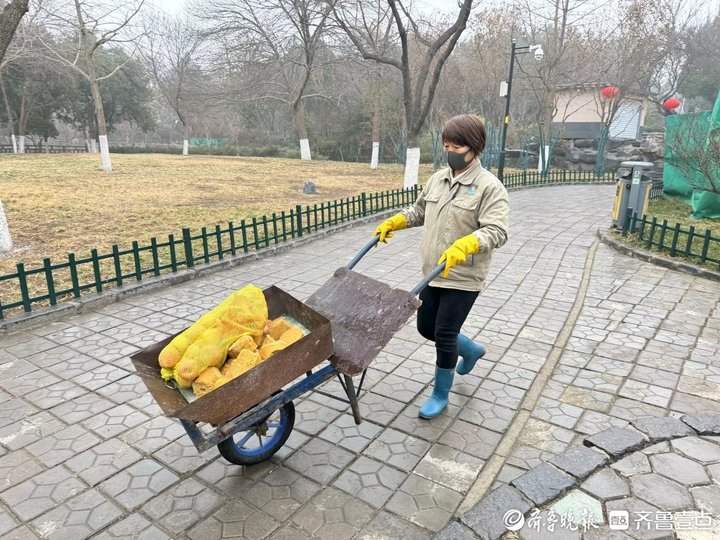 济南动物园最美“奶妈”花开一线