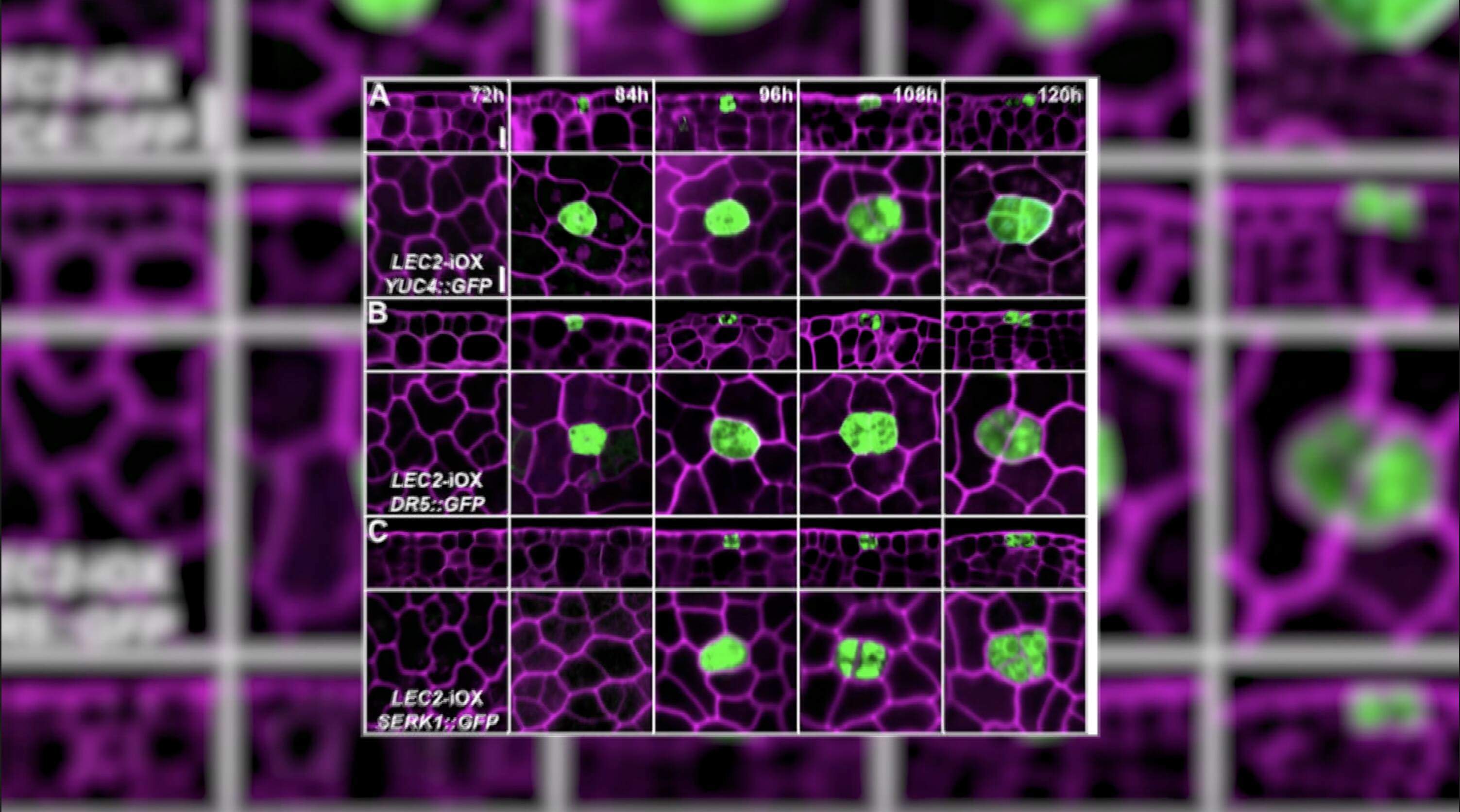 “质”胜2025丨新科技新产品 “硬核”激发产业活力