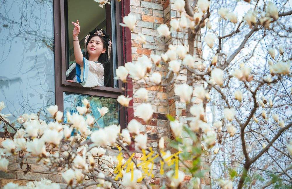 从小众到出圈，花朝节：被济南选中的美丽节日