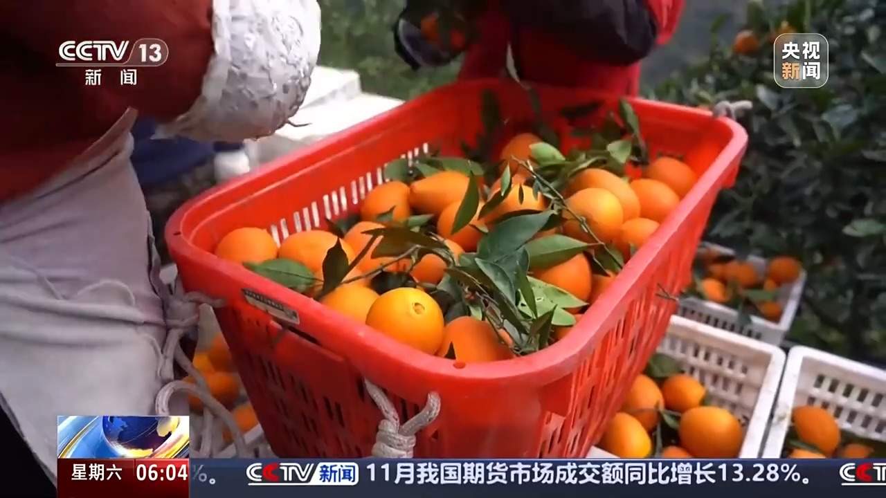 今年前10个月 央企累计采购帮销农产品超110亿元