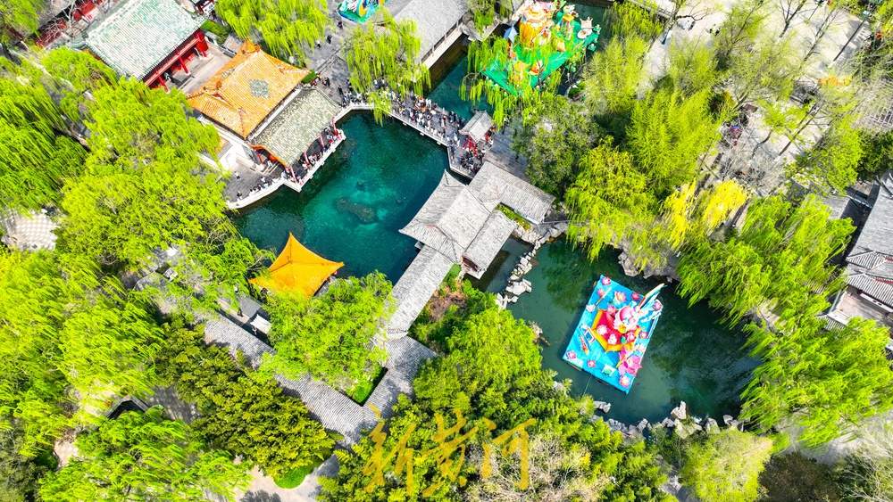 春日限定！趵突泉花柳相映，北方园林美成江南画卷